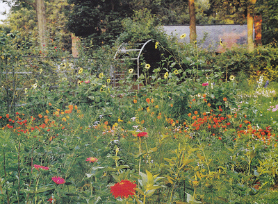 cutting_garden2.jpg